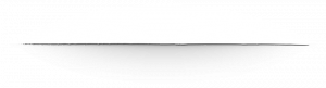 line - Digital Human Library line