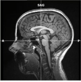 Picture2 - Digital Human Library