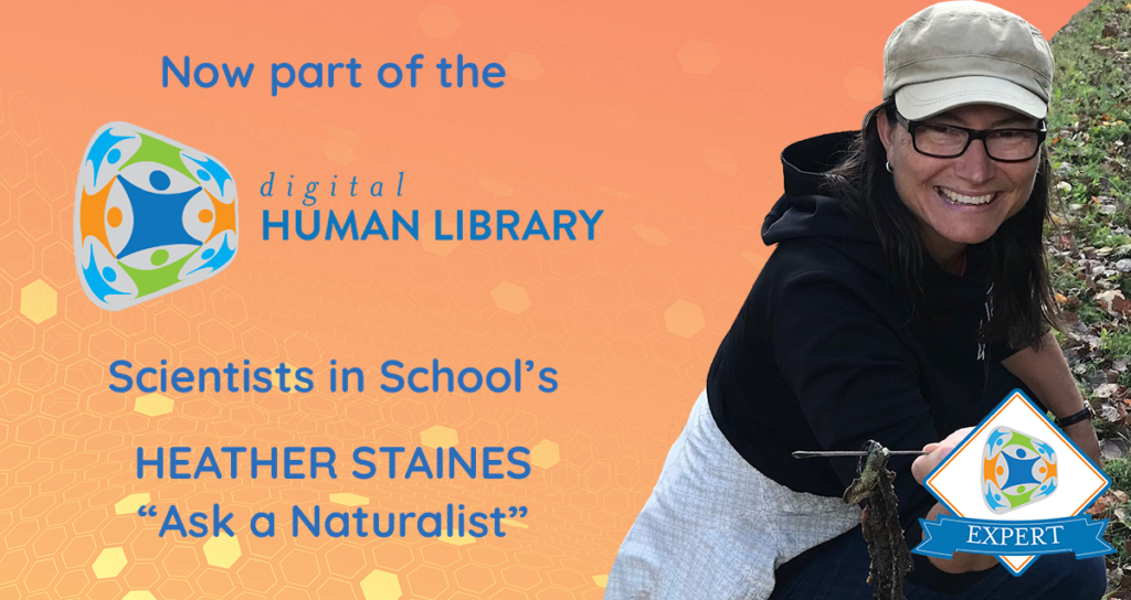 dHL-Heather-LinkedIn - Digital Human Library