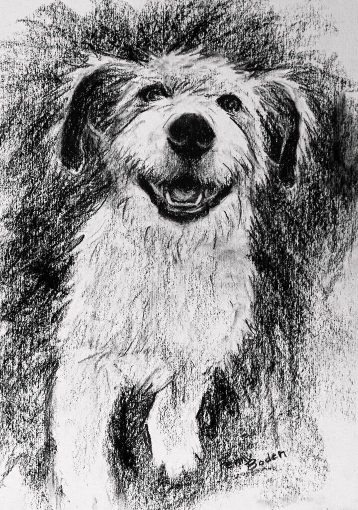 2022-11-little-white-dog - Digital Human Library