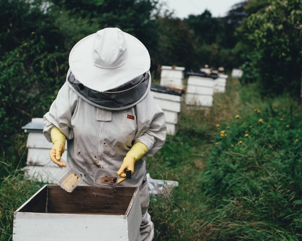 jivehoney-beekeeper - Digital Human Library